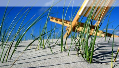 Strandszene auf Amrum Strandszene auf Amrum