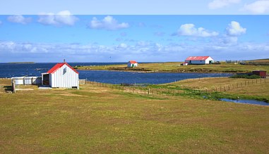 Auf den Falklandinseln