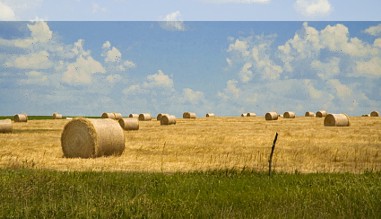 Die weiten Felder von Kansas