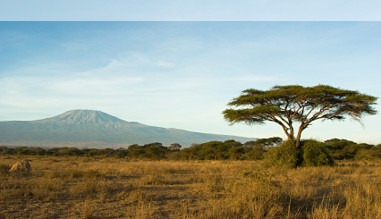 Blick aus Kenia auf den Kilimanjaro im benachbarten Tansania Blick aus Kenia auf den Kilimanjaro im benachbarten Tansania