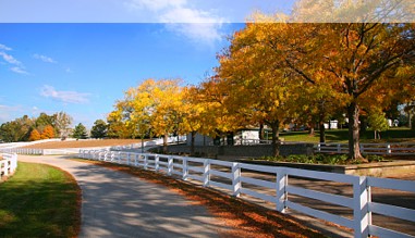 Pferdefarm in Kentucky