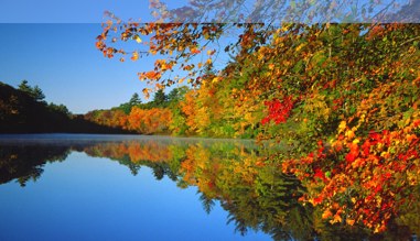 Indian Summer in Massachussets