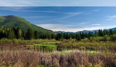 Natur in Montana