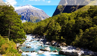 Cleddau River in Neuseeland