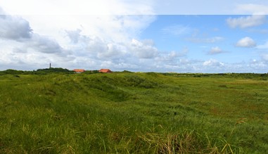 Auf Norderney Auf Norderney