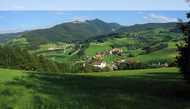 Blick auf Oberried Blick auf Oberried