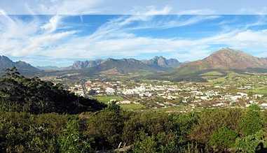 Weinberge in Stellenbosch