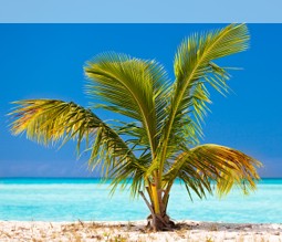 Strand auf Antigua Strand auf Antigua