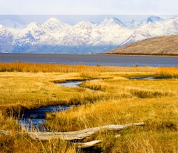 Herbst in den argentinischen Anden