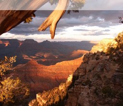 Blick in den Grand Canyon