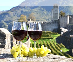 Blick auf die Stadtmauer von Bellinzona