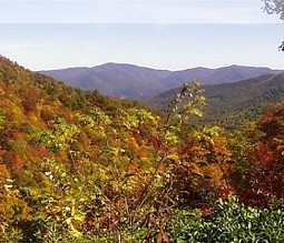 Chattahoochee National Forest in der Nähe von Atlanta / Georgia