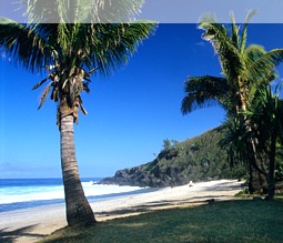 Der Strand von Grande Anse auf La Réunion Der Strand von Grande Anse auf La Réunion