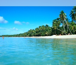 Strand auf Martinique