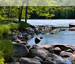 St. Croix River an der Grenze von Minnesota zu Wisconsin