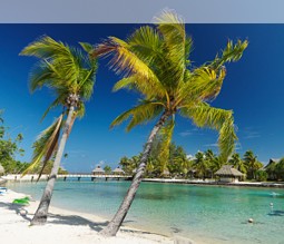 Strand auf Moorea