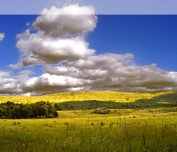 Delaware Water Gap National Recreation Area in New Jersey