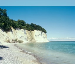 Kreidefelsen auf Rügen