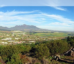 Stellenbosch