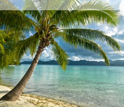 Urlaubsparadies Tahaa Urlaubsparadies Tahaa