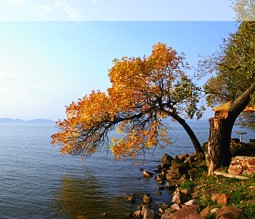 Herbst am Balaton / Plattensee (Ungarn)